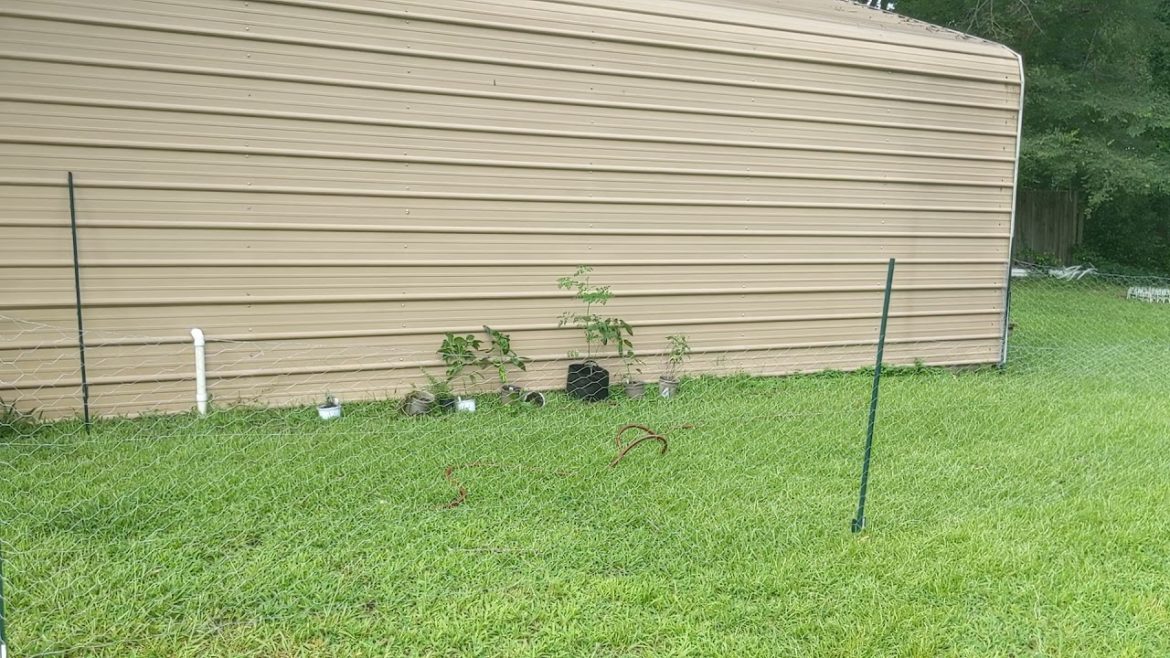 A Quick Look At Our Backyard And Our Garden Plans At Our New Place*π»π±βοΈπΌ A Quick Look At Our Backyard And Our Garden Plans At Our New Place*π»π±βοΈπΌ