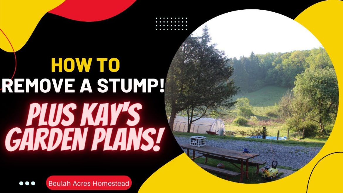 How to Extract a STUMP! and Kay's GARDEN Plans!
