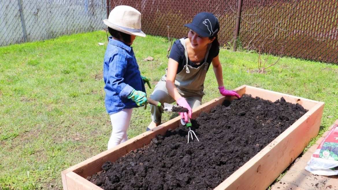 How to Build a Raised Vegetable Bed? Vegetable Gardening 101, CiCi Li - Asian Home Cooking Recipes