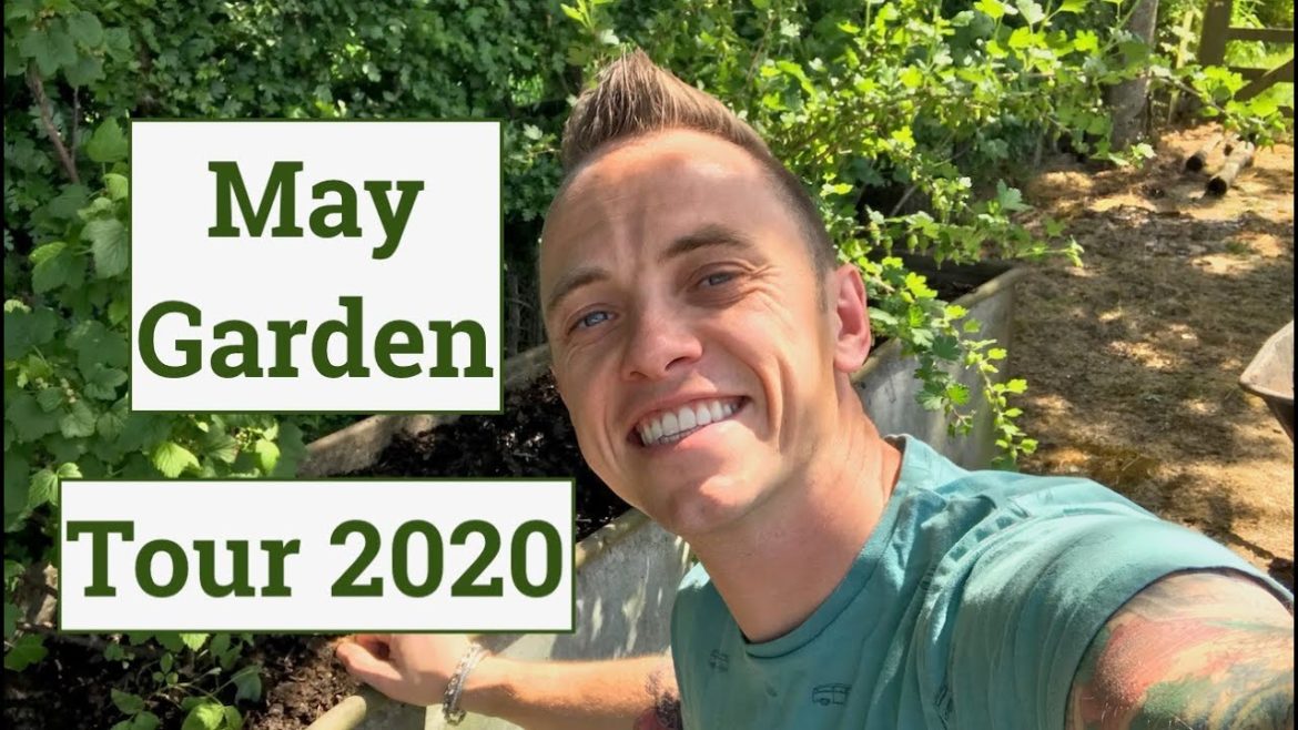 May Garden Tour 2020: Garden design Tips, Growing Your Own & Plant Advice May Garden Tour 2020: Garden design Tips, Growing Your Own & Plant Advice