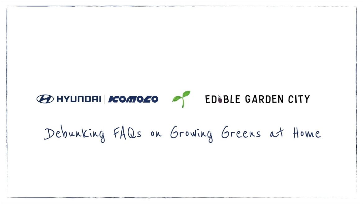 Hyundai Singapore X Edible Garden City: Debunking FAQs on Growing Greens at Home