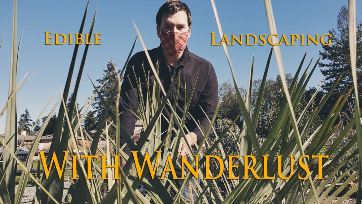 Edible landscaping with South American Plants Edible landscaping with South American Plants