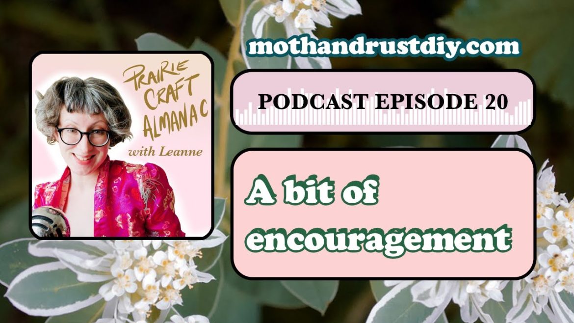 A Bit of Encouragement, Garden Plans, and...Quilted Shorts!?  (Yes!) | Episode 20 (made with Spreake