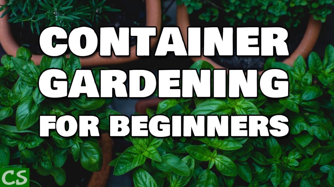 Container Gardening Vegetables for Beginners Container Gardening Vegetables for Beginners