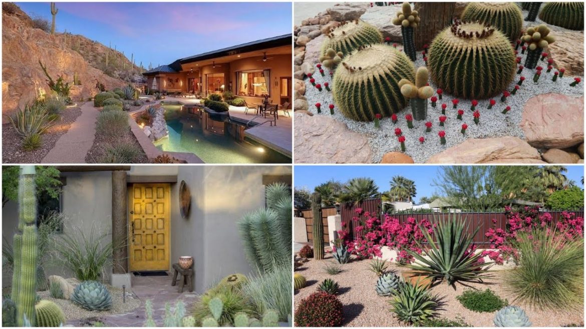 100 Cactus Garden Design Ideas | Desert Garden Ideas