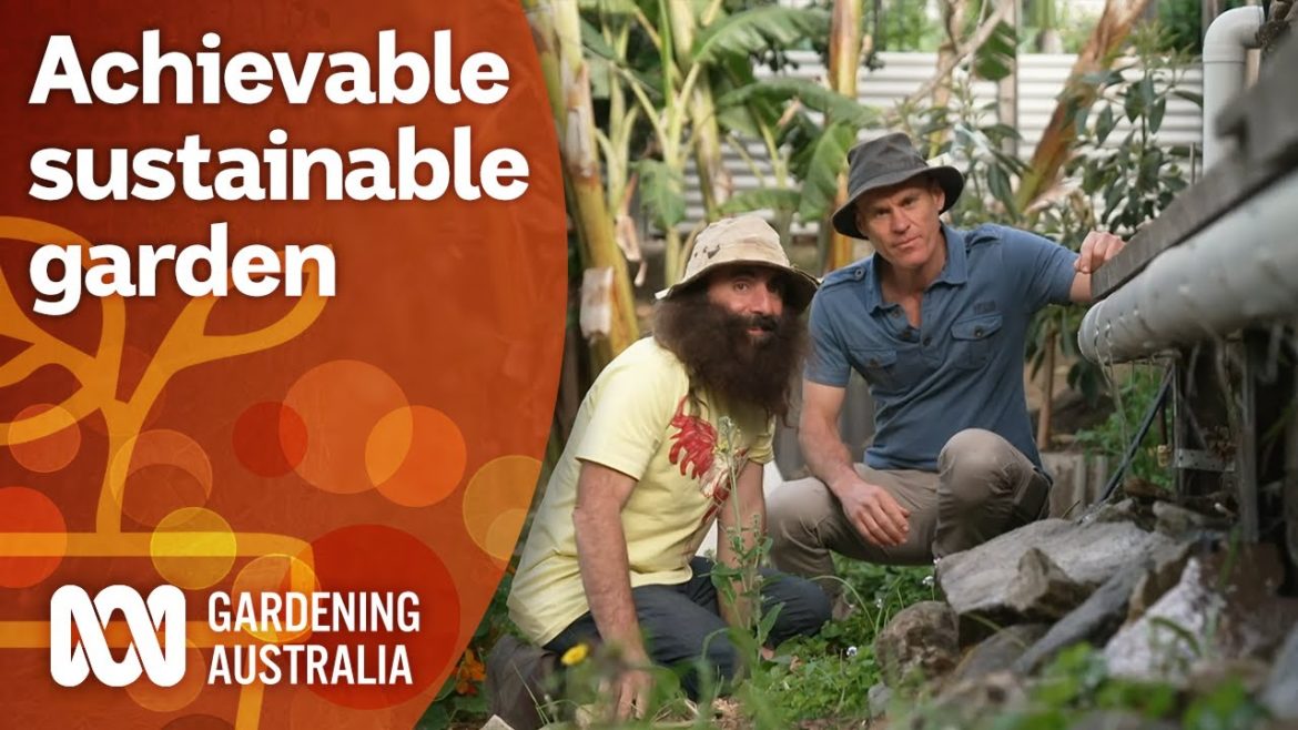 Small-scale sustainable home and garden design | Garden Design and Inspiration | Gardening Australia
