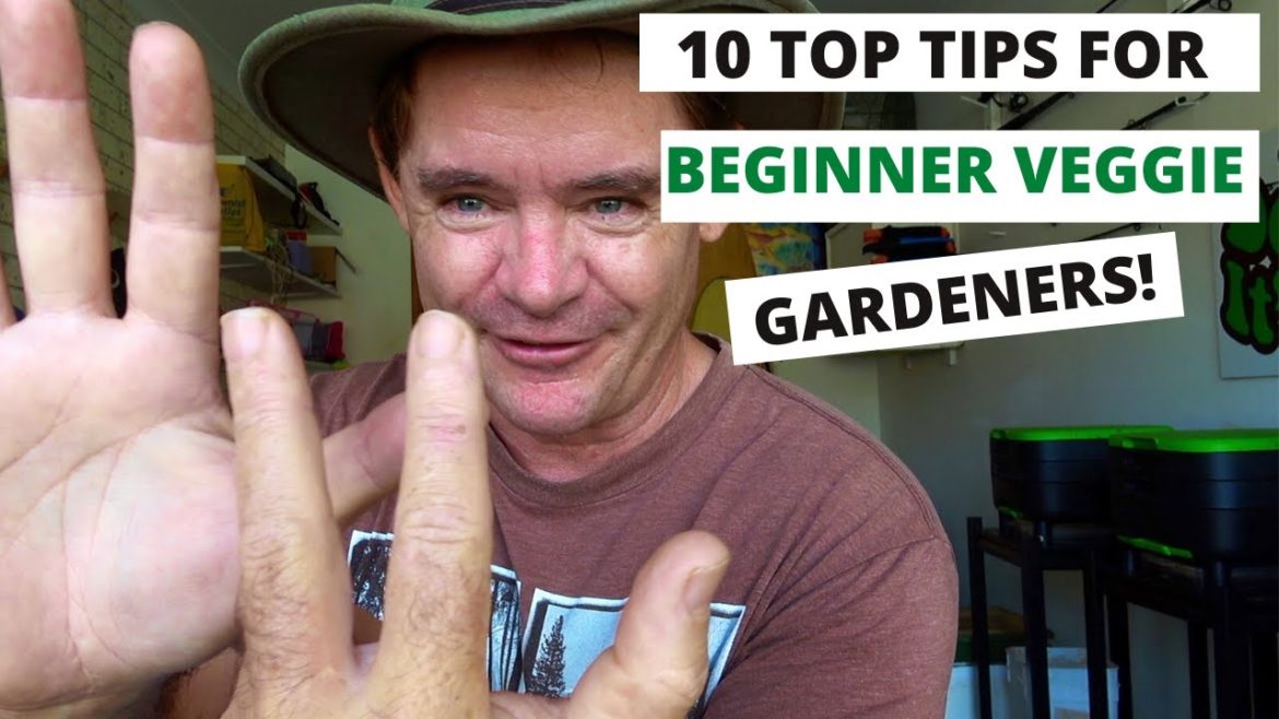VEGETABLE GARDENING FOR BEGINNERS My TOP TEN TIPS VEGETABLE GARDENING FOR BEGINNERS My TOP TEN TIPS