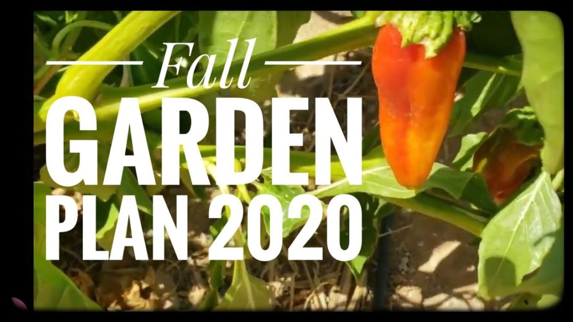 Chores | Fall Garden Plans 2020 | Aquaponics Update