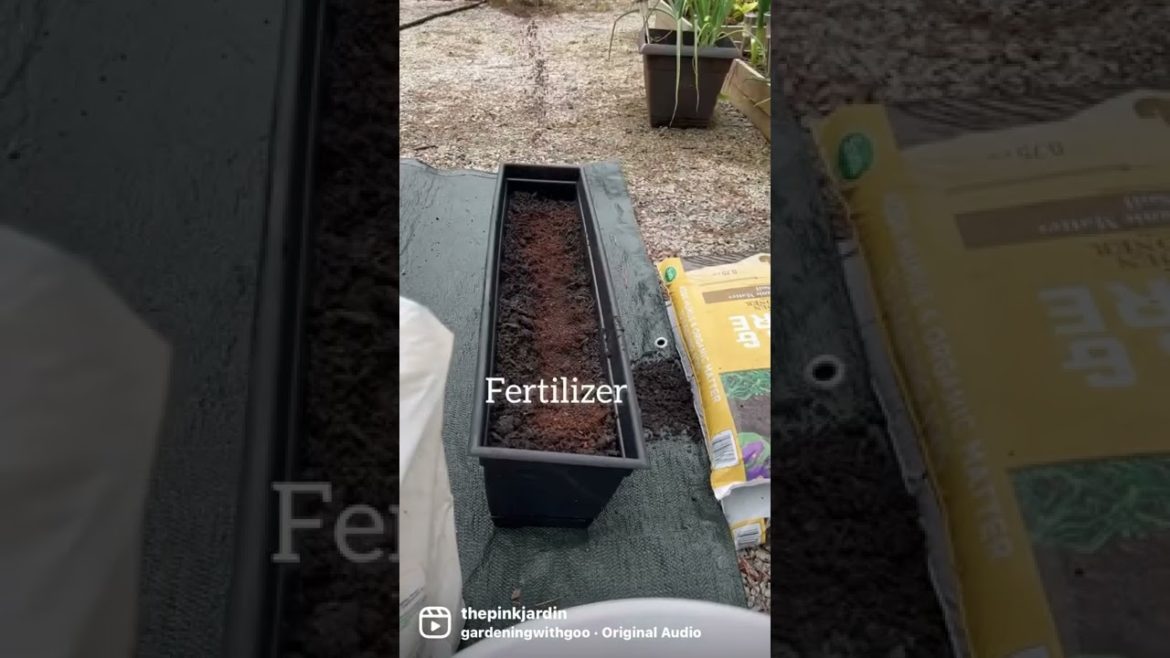 Container Gardening Container Gardening