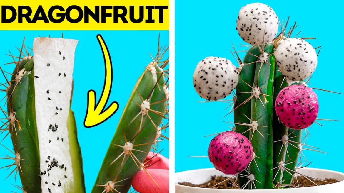 DIY Gardening Tips. Easy Ways To Grow Seeds. HACKS TO GROW YOUR OWN PLANTS DIY Gardening Tips. Easy Ways To Grow Seeds. HACKS TO GROW YOUR OWN PLANTS