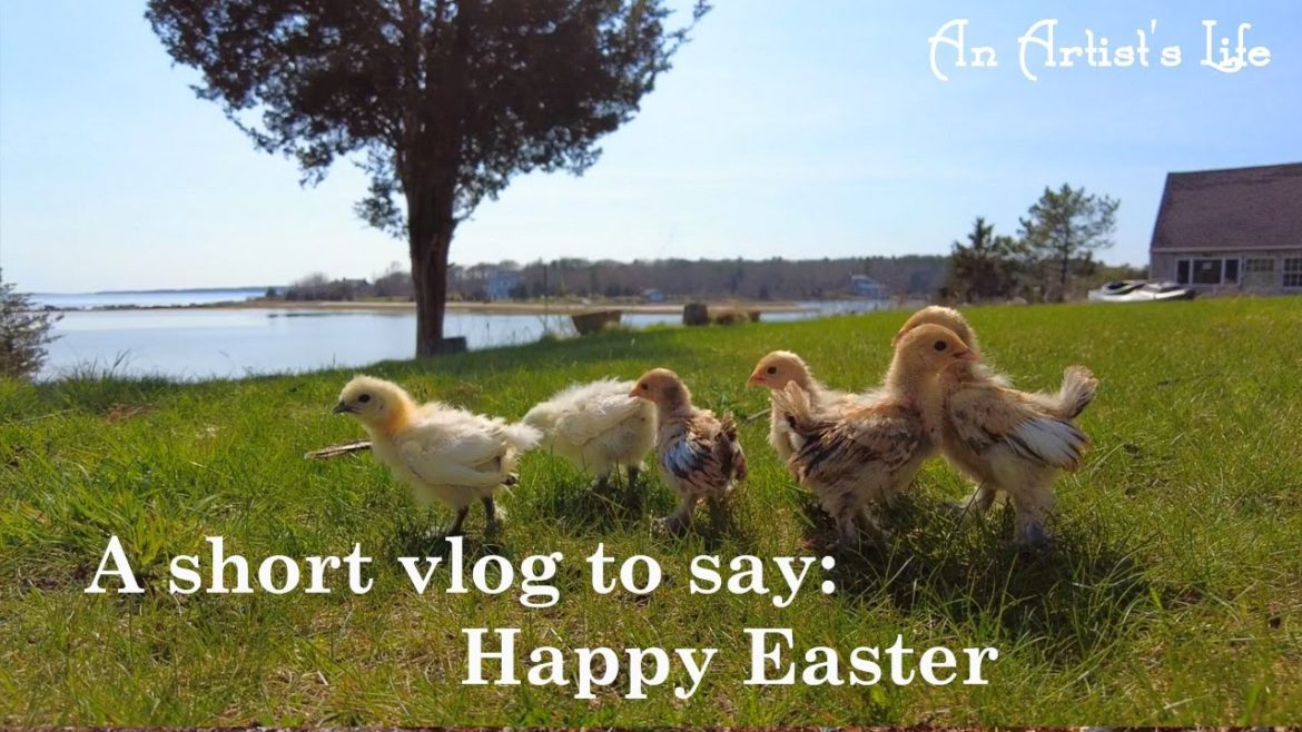 A Short Easter Vlog | Chicks by the seaside | Garden Plans