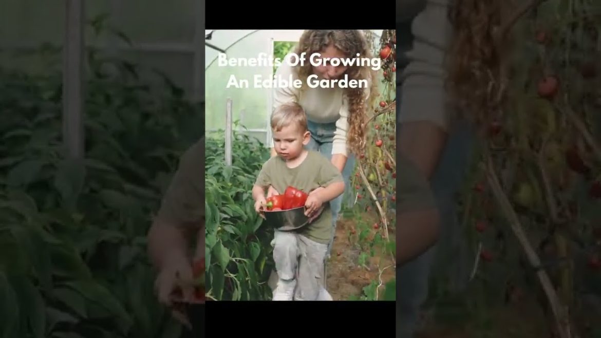 Benefits Of Growing An Edible Garden #shorts Benefits Of Growing An Edible Garden #shorts