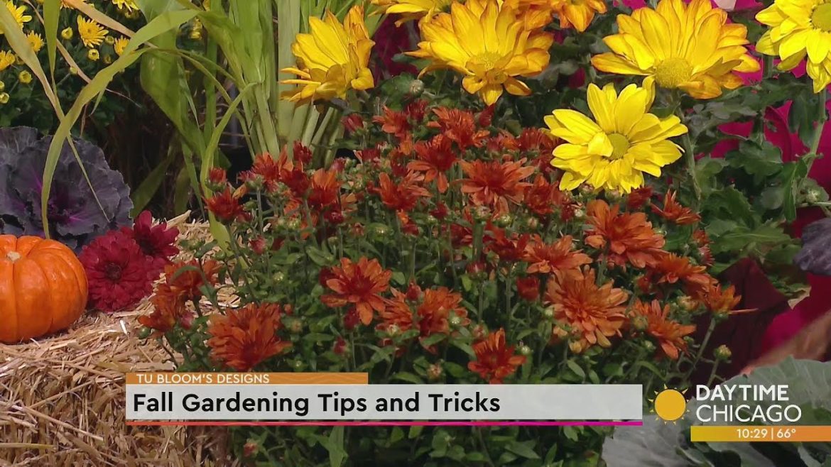 Fall Gardening Tips and Tricks