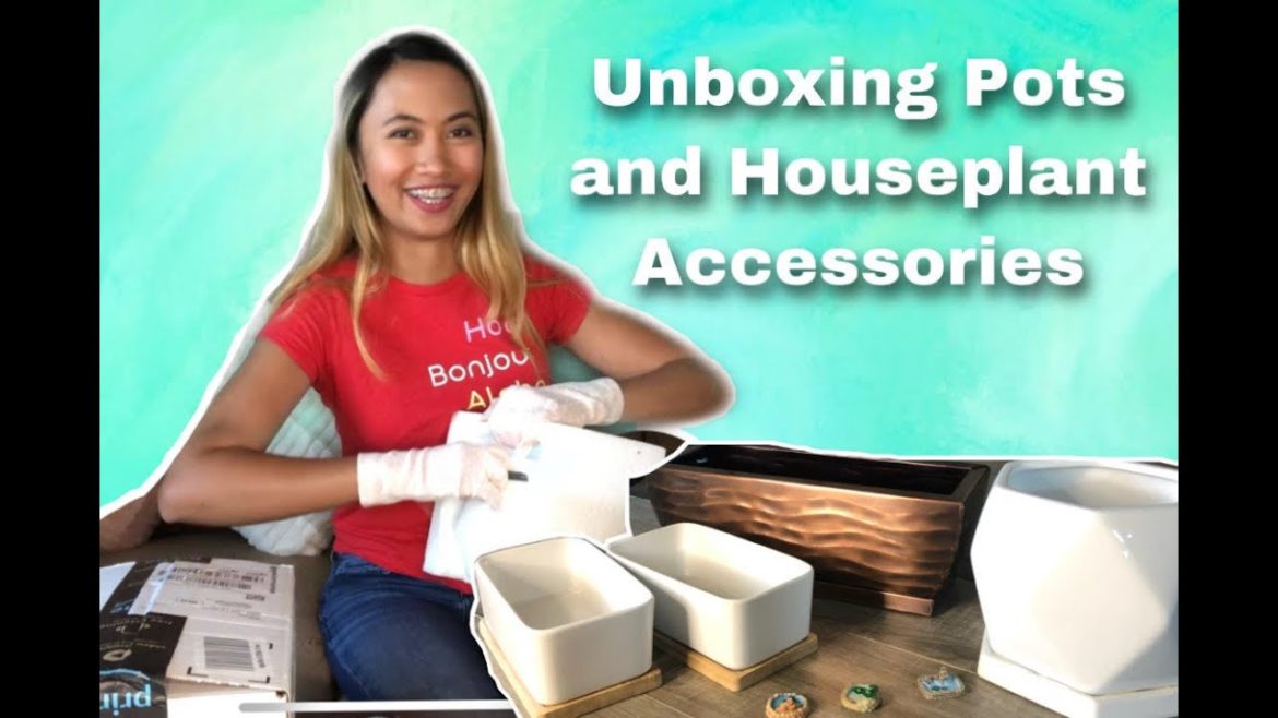 Gardening Supplies Haul | Houseplant Supplies