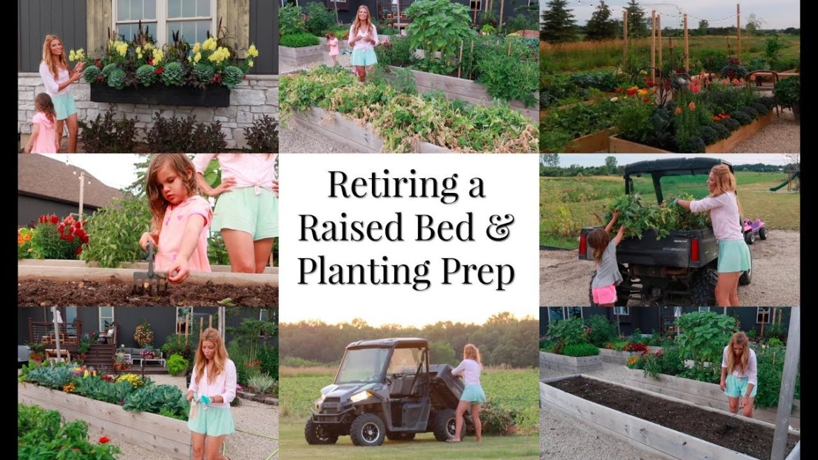 Retiring a Raised Bed, Prepping For Planting Again, Vegetable Gardening Tips, just life 3-20