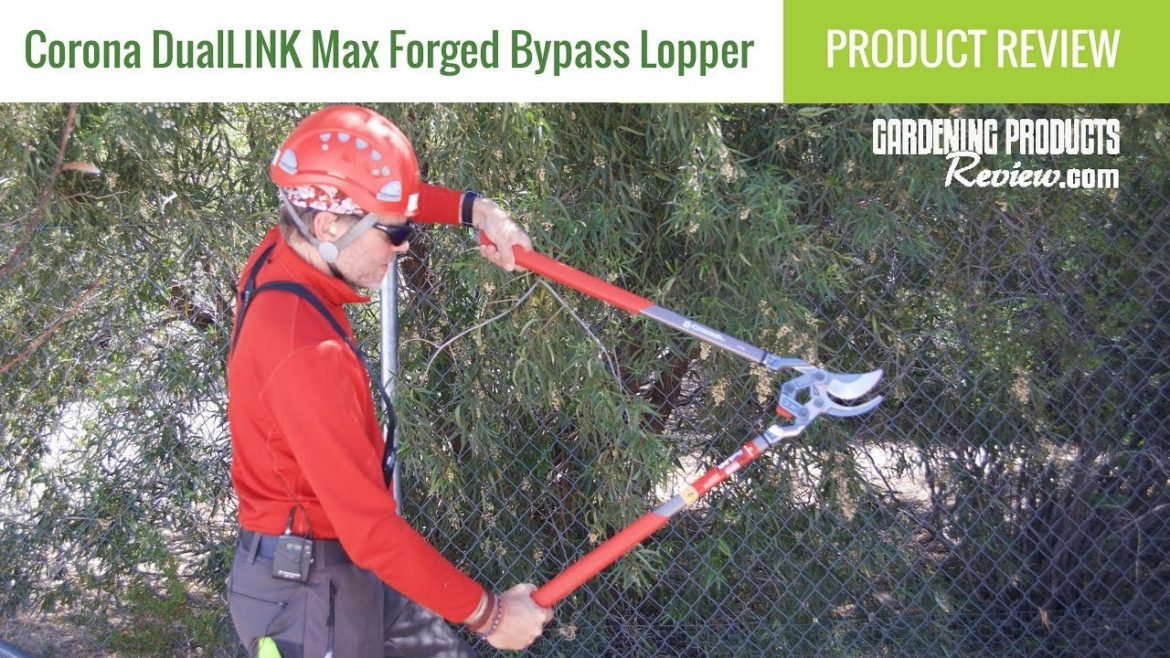 Corona DualLINK Max Forged Bypass Lopper (SL8180): Product Review | Gardening Products Review