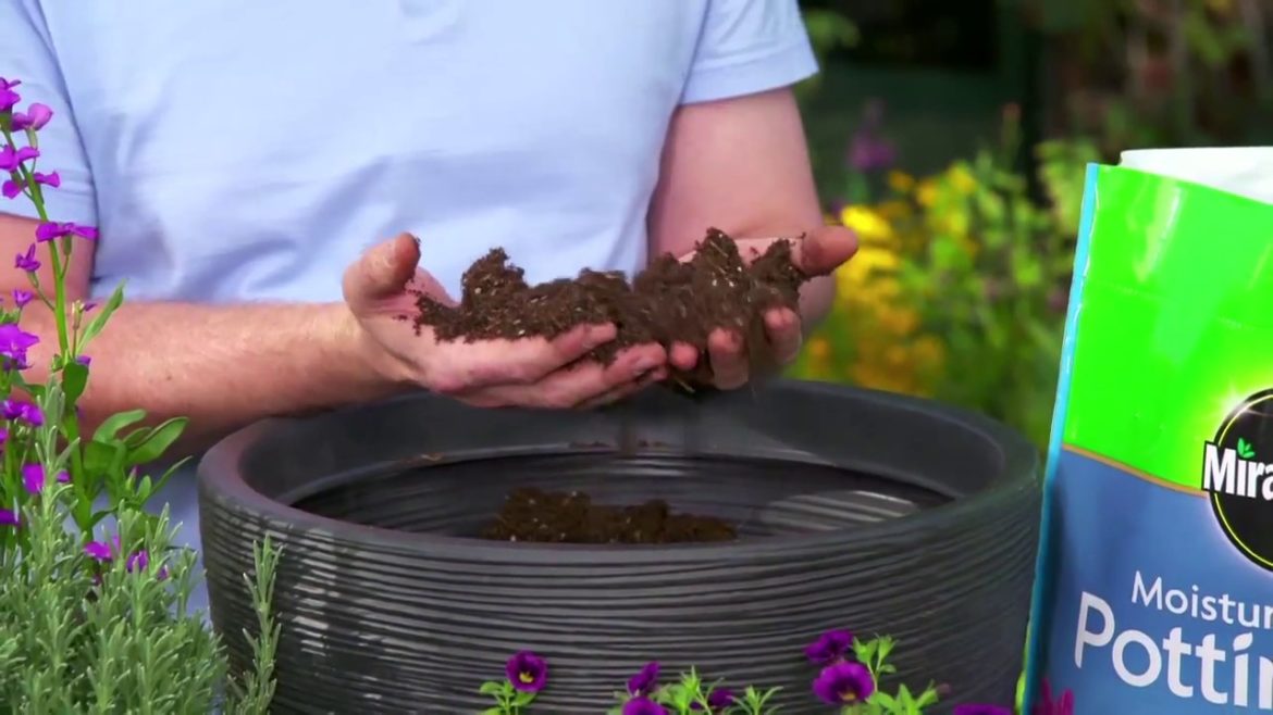 How to Plant a Container Garden - Ace Hardware