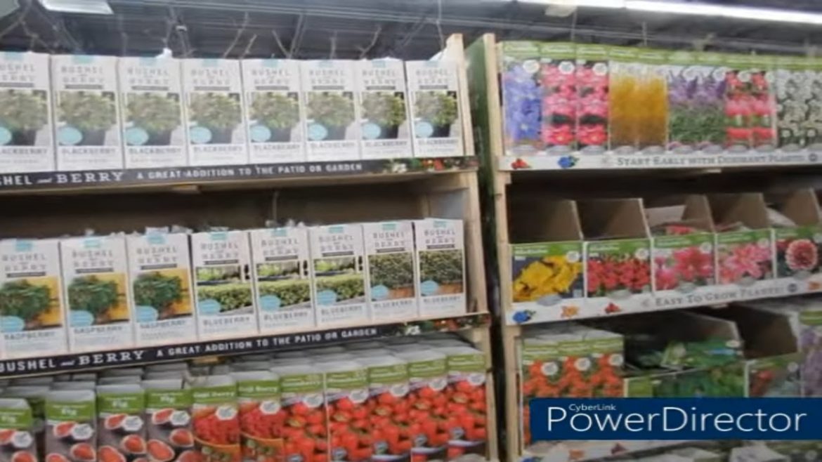 They Got Bare Root Trees| Tractor Supply Run| Gardening Supplies| Chick Accessories