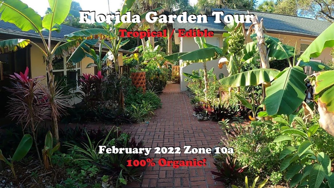 Florida Organic Tropical / Edible Garden Tour | February 2022