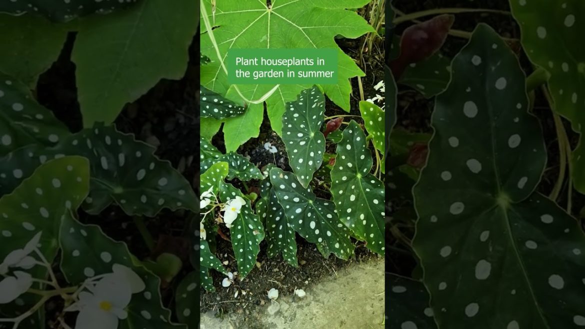 5 GARDEN IDEAS FROM GREAT DIXTER