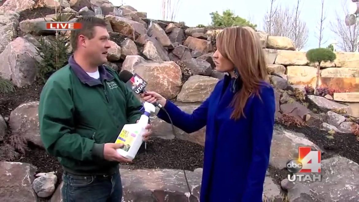 Winter Garden Tips | Salt Lake City | Millcreek Gardens
