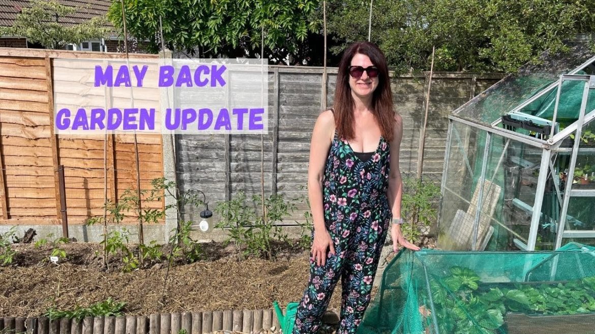 May Back Garden Update - Vegetable Gardening For Beginners