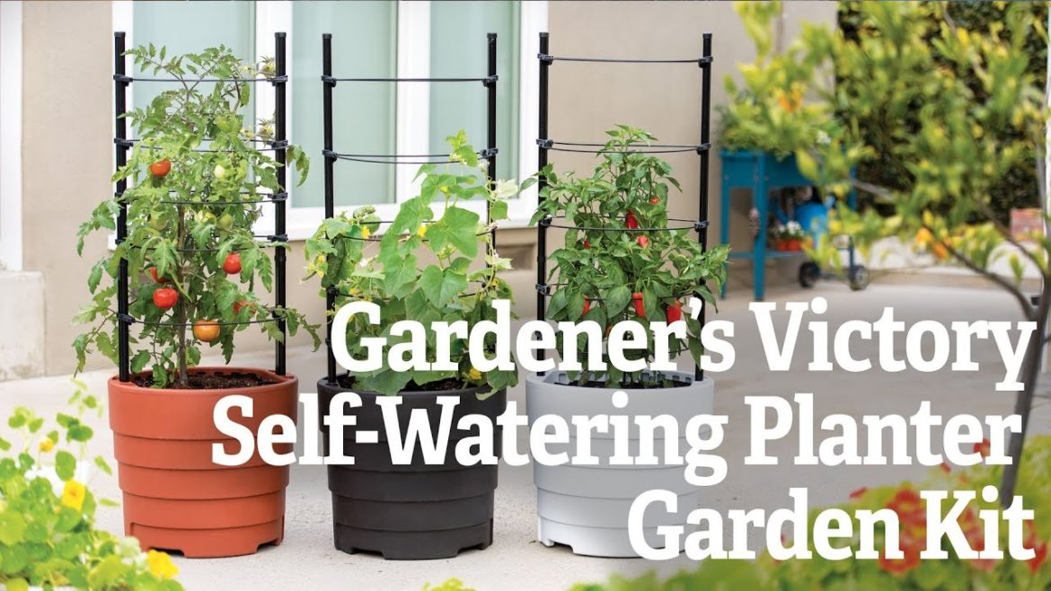 Gardener's Victory Self-Watering Planter Garden Kit Gardener's Victory Self-Watering Planter Garden Kit