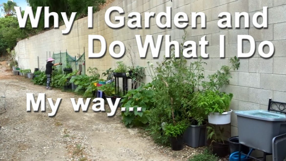 Vegetable Gardening FOREVER 'Make Routine EASY' Container Gardening Harvest Watering Growing Cooking