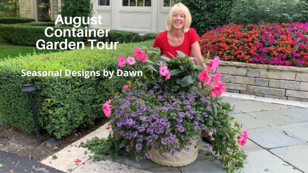 August Container Garden Tour 🌸😊