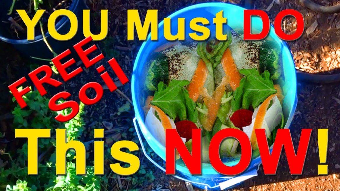 How To Make FREE Garden Soil, Container Gardening, Growing In Bucket DIY Compost in Place Plant Food