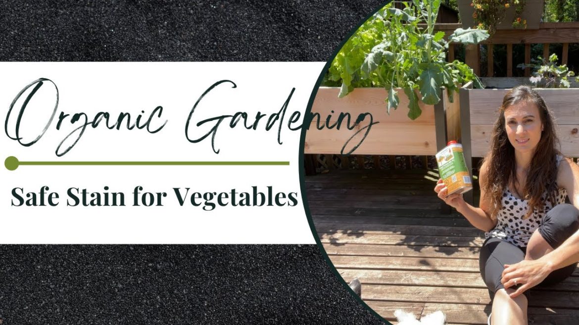 Organic Gardening | Safe Wood Stain For Gardens & Vegetables | Garden With Me Organic Gardening | Safe Wood Stain For Gardens & Vegetables | Garden With Me