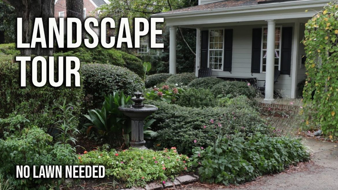 Landscape Garden Tour – No Lawn Landscape Garden Tour - No Lawn