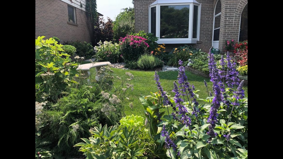 2021 My Front Yard Urban Edible and Pollinator Garden 2021 My Front Yard Urban Edible and Pollinator Garden