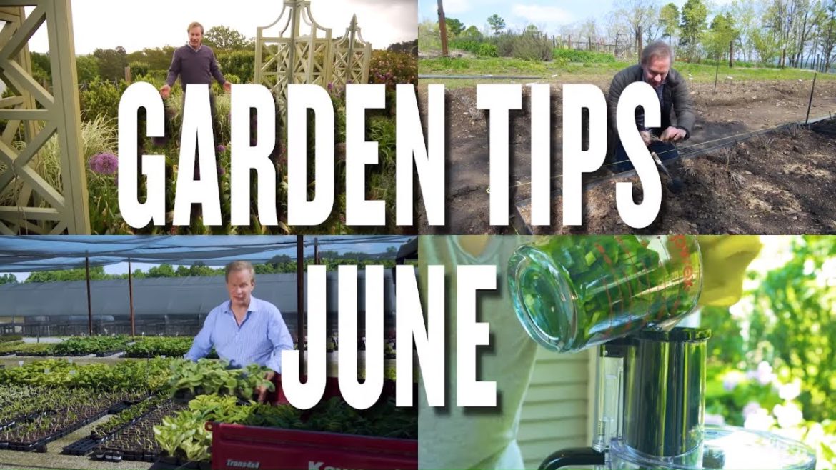 June Garden Tips and Projects: P. Allen Smith (2019)