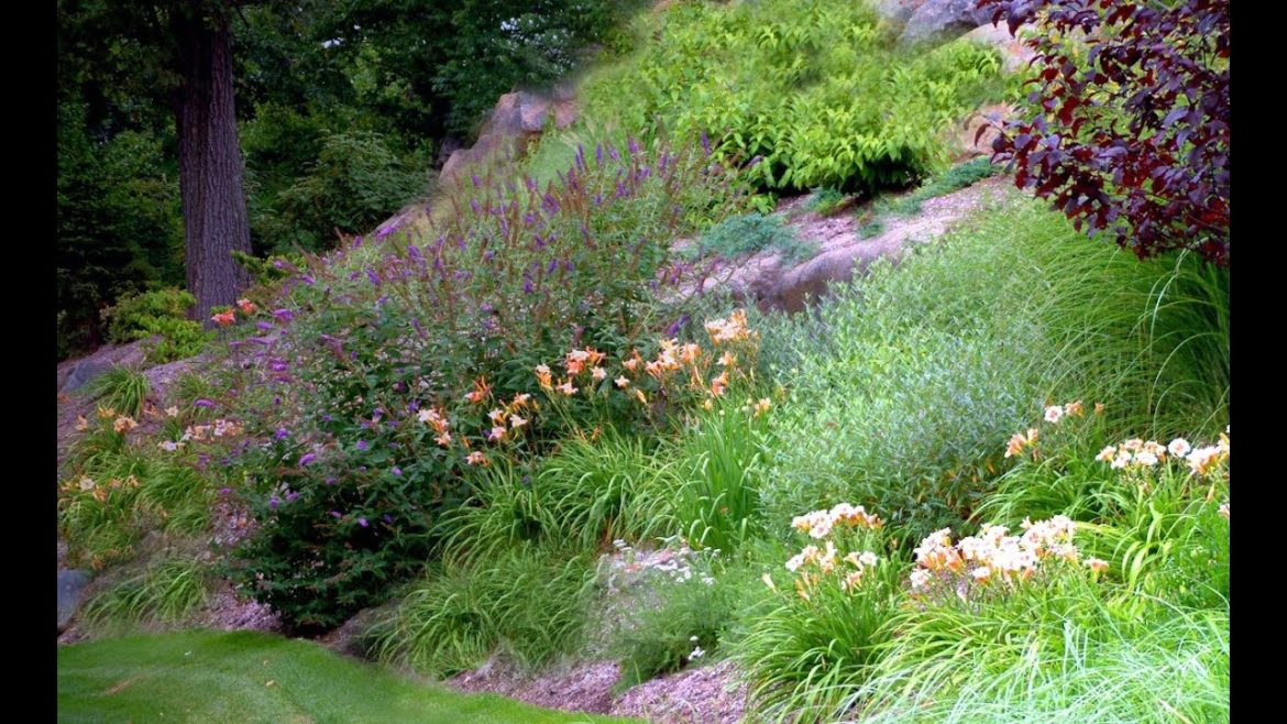 Front Yard Landscape Ideas