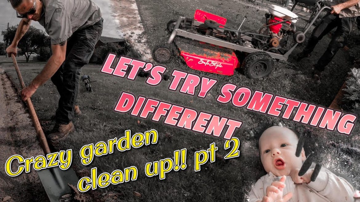 Time to tackle the front yard! garden transformation PART:2