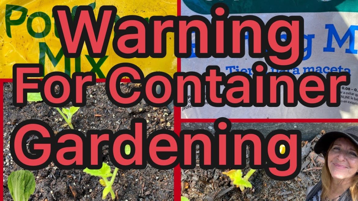 Container Gardening Potting Mix WARNING Vegetable Plants Growing in Garden Soil *NEED GREEN Leaf FIX Container Gardening Potting Mix WARNING Vegetable Plants Growing in Garden Soil *NEED GREEN Leaf FIX