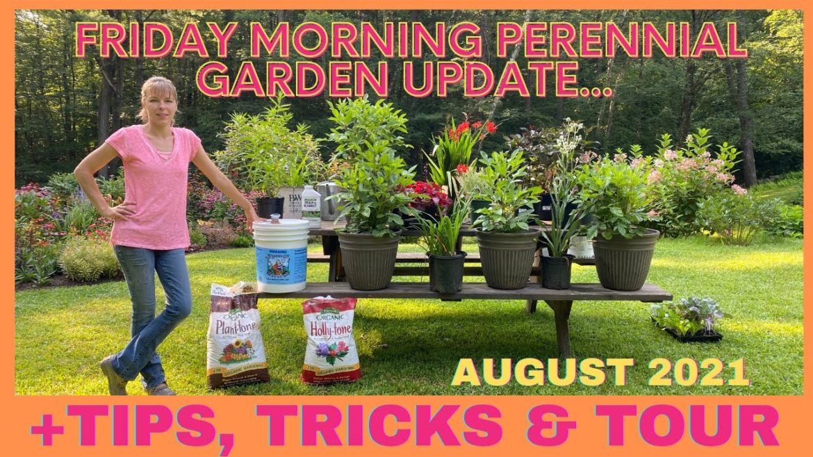 Friday Morning Perennial Garden Tips Tricks & Tour // Best Fertilizers // New Plants // Patio Update