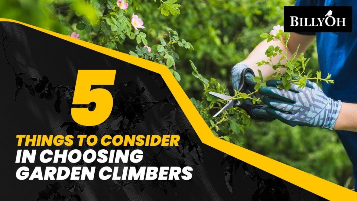 5 Things to Consider In Choosing Garden Climbers - Vertical Gardening Tips For Beginners & Experts