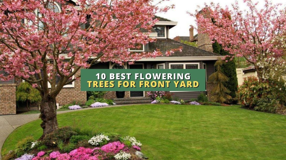 10 Best Flowering Trees for Front Yard π³πΈπ  10 Best Flowering Trees for Front Yard π³πΈπ