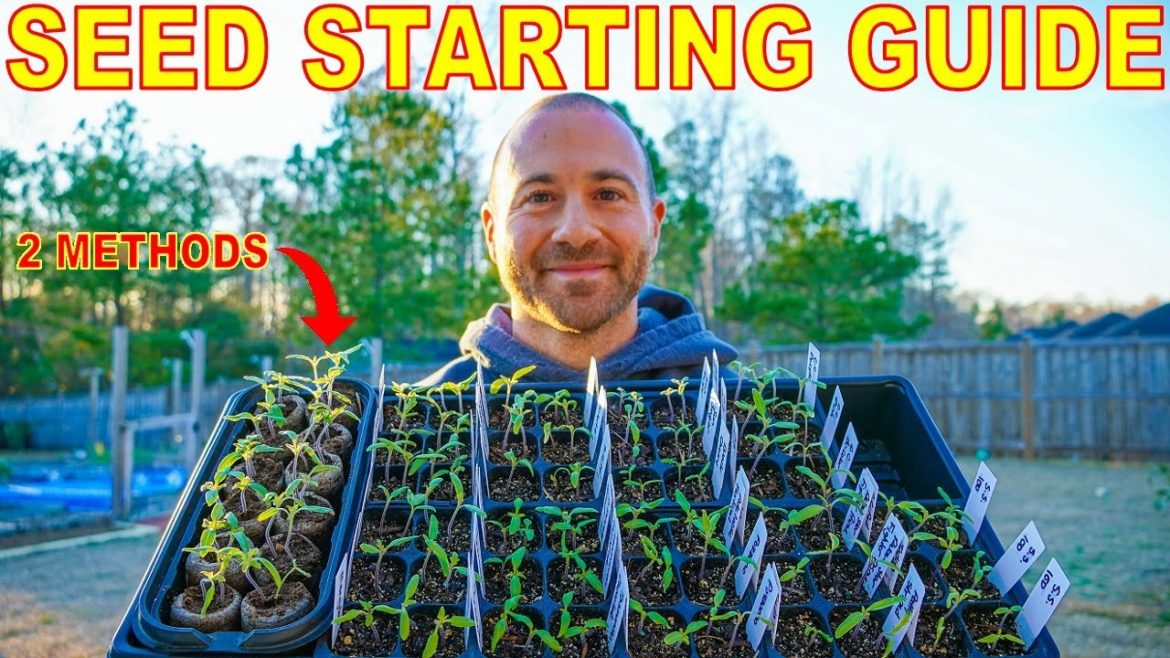 2 SEED STARTING Methods For Vegetable Gardening Success!