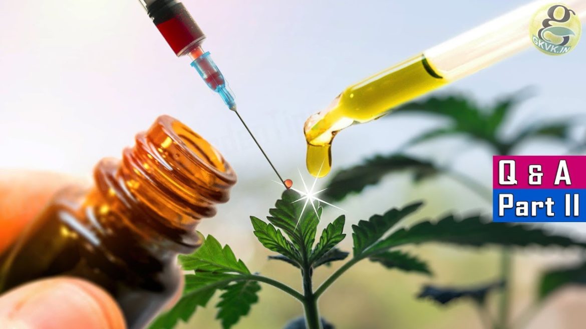 5 SHOCKING GARDENING IDEAS AND SECRET QUESTIONS ANSWERED – Part 2 | Garden Tips 5 SHOCKING GARDENING IDEAS AND SECRET QUESTIONS ANSWERED – Part 2 | Garden Tips