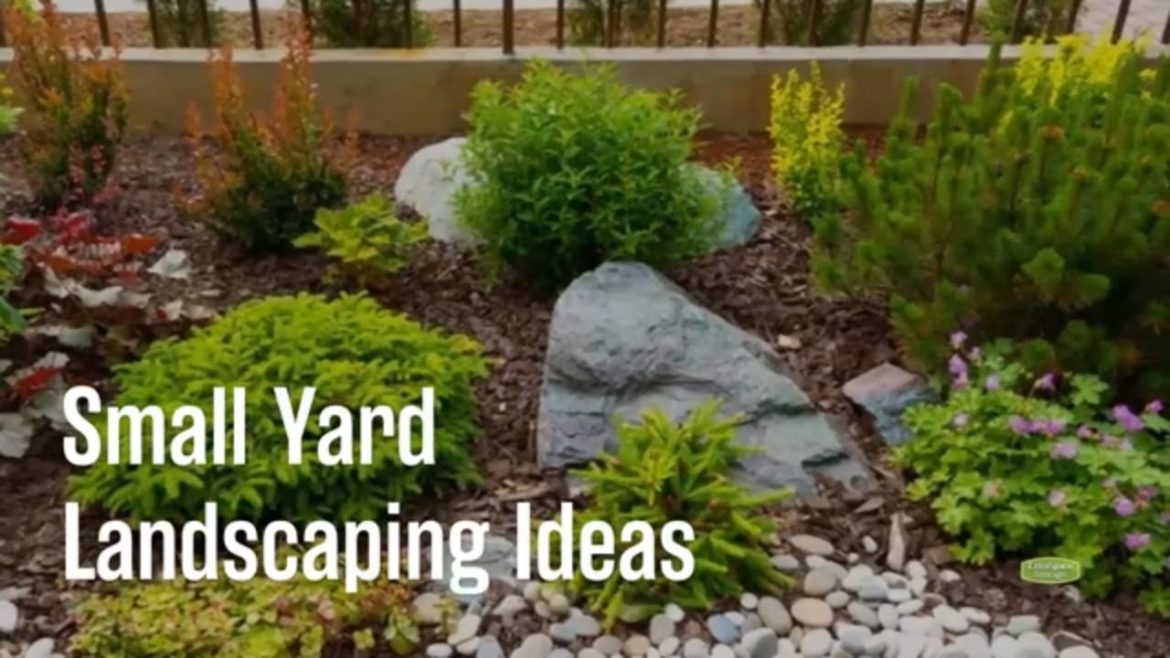 Landscaping Ideas for a Small Yard