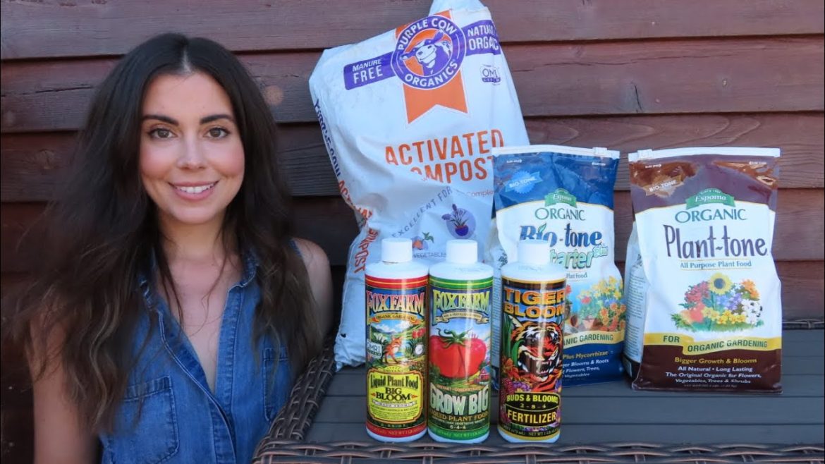 How I Fertilize My Container Garden | Balcony Gardening