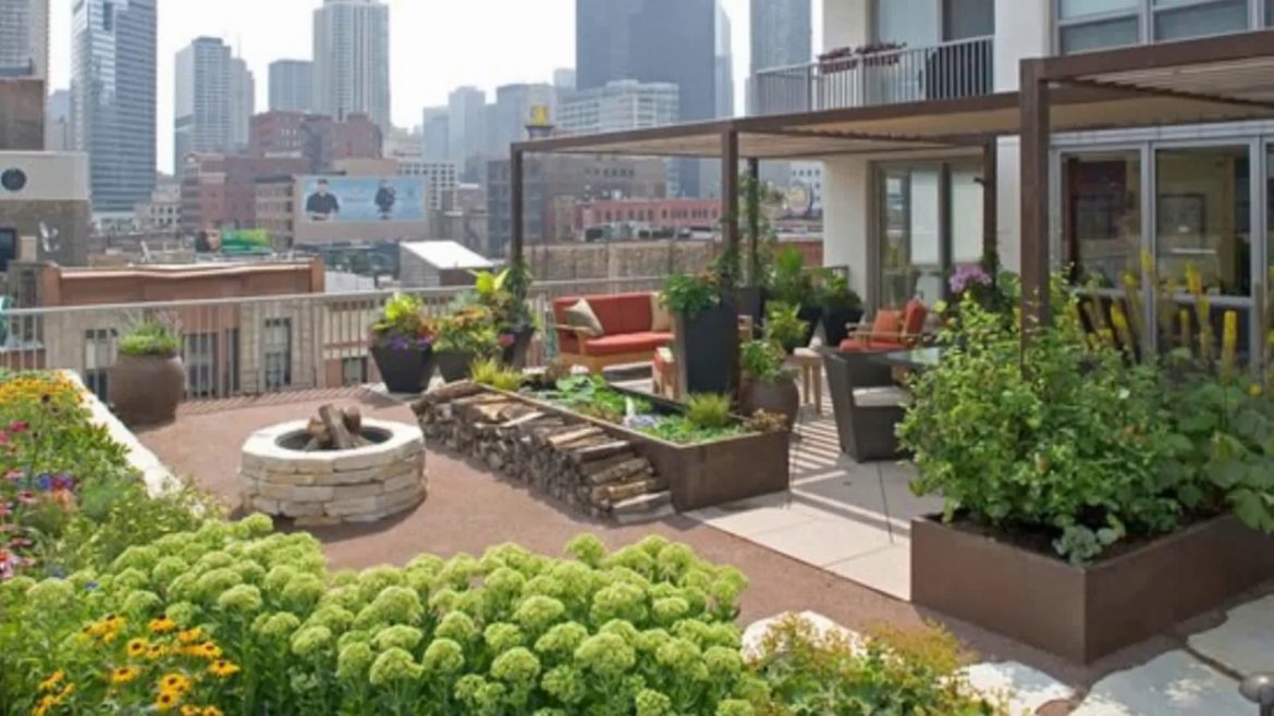 🔝 City Garden Design Ideas | DIY Raised Gardening Vegetables Small Backyard Landscaping Decor 2018