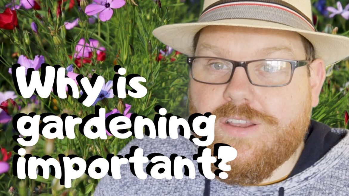 Importance of gardening - Gardening ideas - Vegetable gardening - Climate Debate