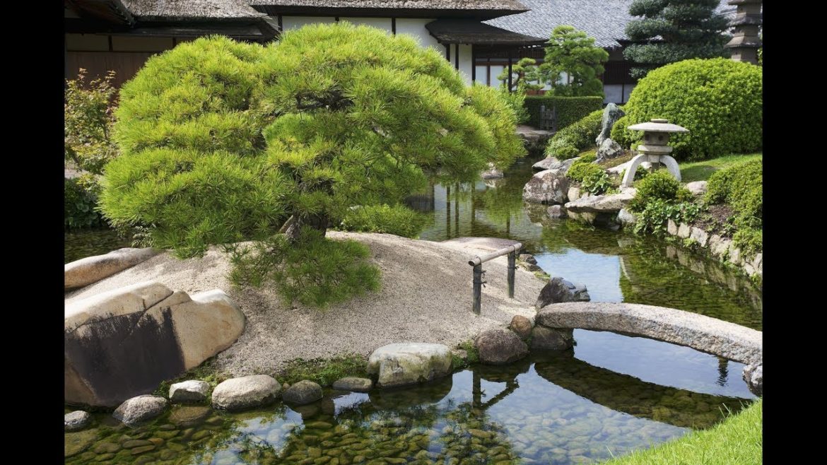 Japanese Garden and Landscape Creative Ideas - Amazing Decorating Tips & Ideas