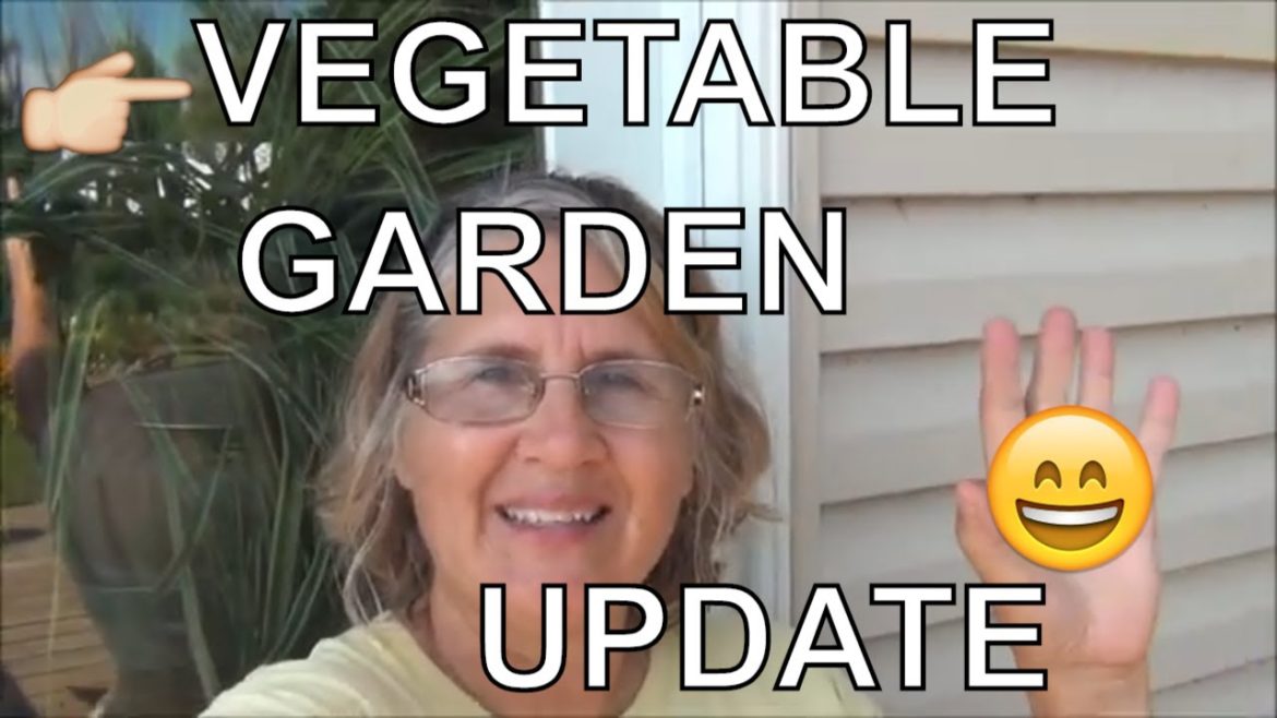 Vegetable Gardening /July Update β€/Amazing Produce to Come π Vegetable Gardening /July Update β€/Amazing Produce to Come π