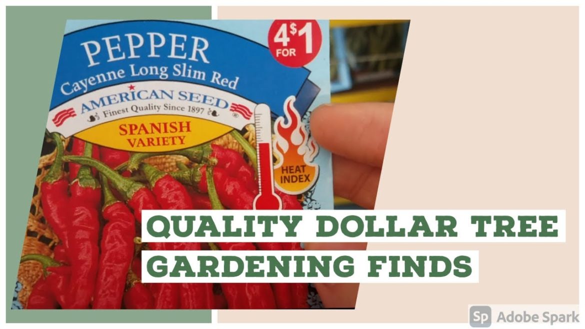 Buy These Dollar Tree Gardening Supplies (Spring 2021)