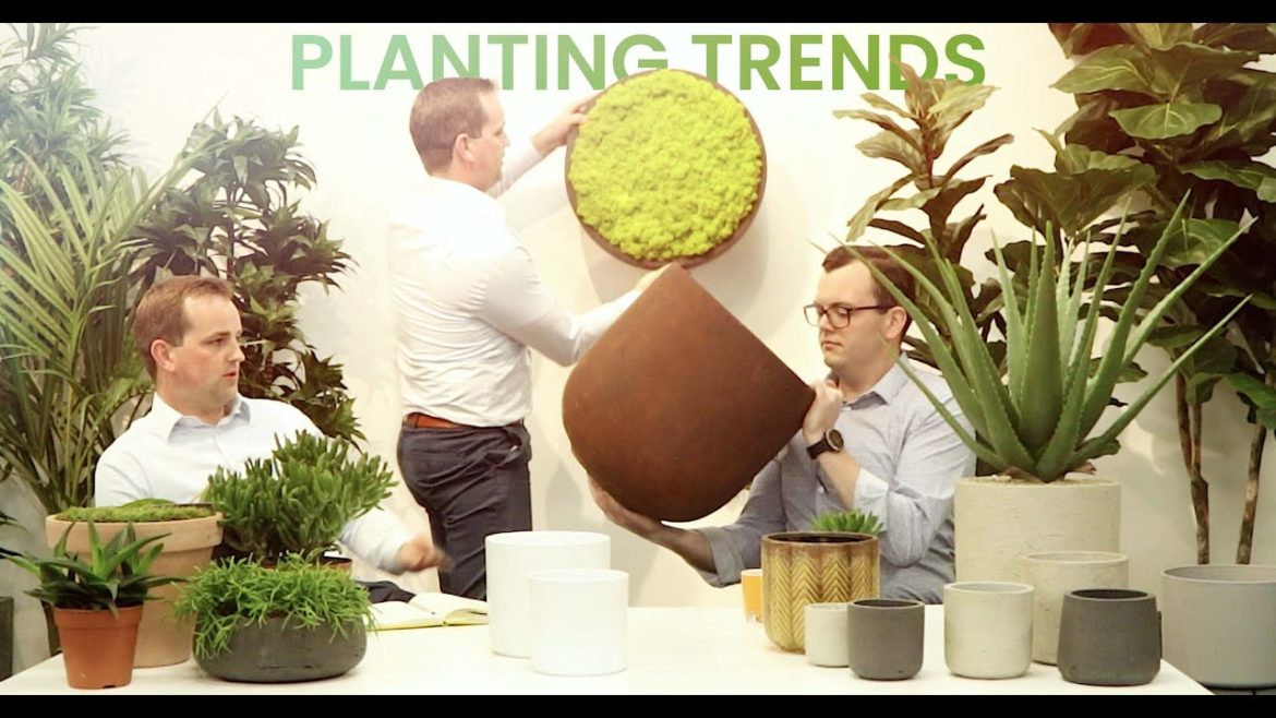 Current planting Trends
